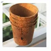 Coconut Fiber Pot