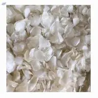 Dried Fish Scale