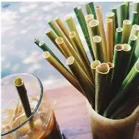 Grass Drinking Straw