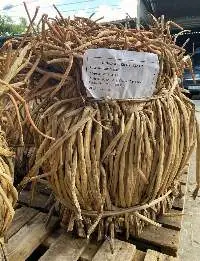 Dried Water Hyacinth