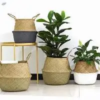 Seagrass Belly Basket