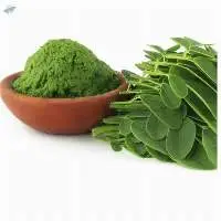 Moringa Leaves Powder