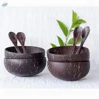 Coconut Shell Bowl
