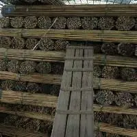 Processed Bamboo Poles Tube High Quality