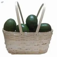 Camping Picnic Basket/Beach Holiday