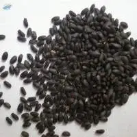 Basil Seed- Dried Sabja Seed Organic