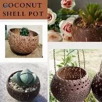 Coconut Shell Pot From Vietnam