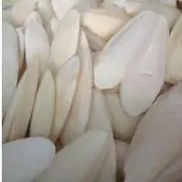 Cuttlefish Bond