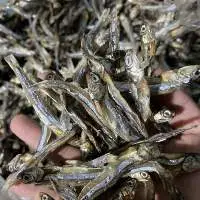 Dried Anchovy
