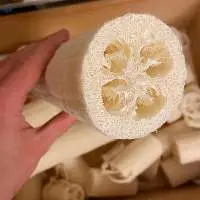 Dried Loofah