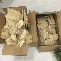 Dried Loofah Vietnam