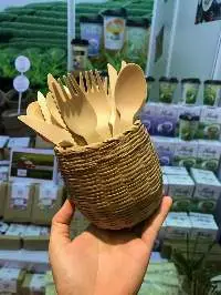 Disposable Cutlery