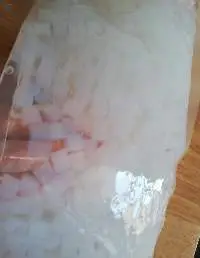 Coconut Jerry Nata De Coco