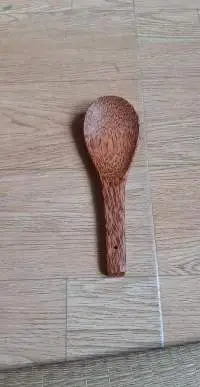 Coconut Wood Spoon