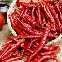 Best Price  Dried Red Chilly From Vietnam