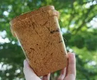 Coconut Coir Pot