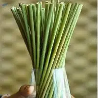 Dried Grass Straws
