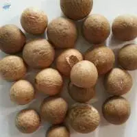 Good Quality Dried Betel Nuts