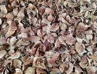 Dried Caulis Spatholoby