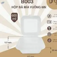 Sugarcane Container Bagasses