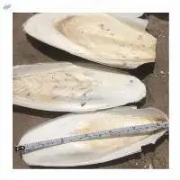 Viet Nam Dried Cuttlefish Bone