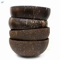 Coconut Shell Bowl