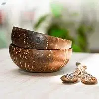 Coconut Shell Bowl