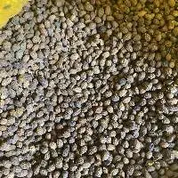 Dried Papaya Seed For Medicine