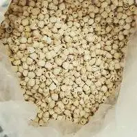 Dried Lotus Seed