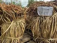 Dried Natural Water Hyacinth 