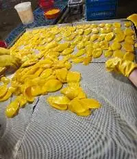 Soft-Dried Mango