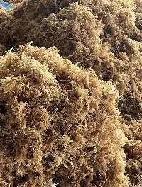 Dried Seamoss/Irish Moss/Eucheuma Cottonii