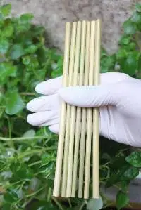 Grass Straw For Drinking