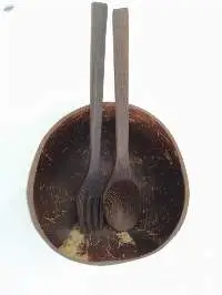 Coconut Shell Bowl