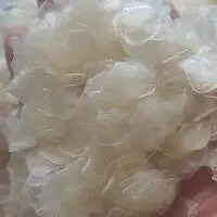Decalcified Fish Scales - Rich Collagen/Gelatin