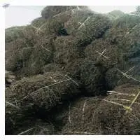 Dried Grass Jelly Leaves