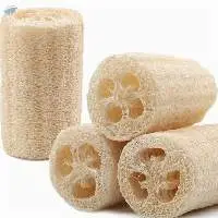 Loofah - Best Price From Vietnam