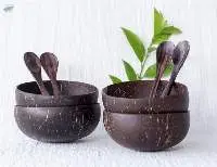 Hancrafted Coconut Shell Bowl