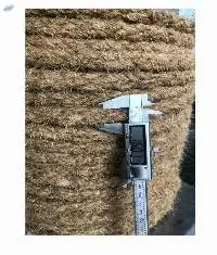 Coir Rope/ Twisted Coconut Fiber Rope