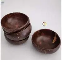 Coconut Shell Bowl