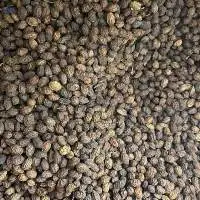 Dried Papaya Seed