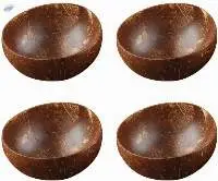 Natural Coconut Shell Bowl