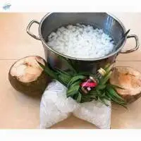 Nata De Coco Jelly