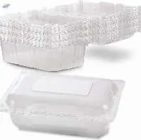 Rectangular Plastic Food Container