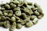 High Quality Green Arabica Coffee Bean