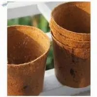 Coconut Coir Pot