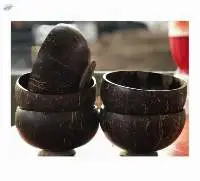 Coconut Shell Bowl