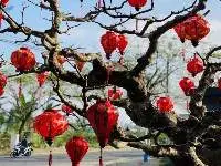 Outdoor Decorative Silk Lanterns