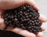 High Quality Dried Black Pepper