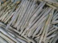 Frozen Sugarcane